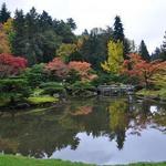 Washington Park Arboretum