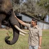 Myakka Elephant Ranch