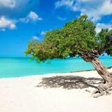 Visit Eagle Beach