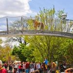 The Philadelphia Zoo