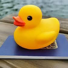 The Wedding Website of Amanda Thompson and Beaux Blackwood