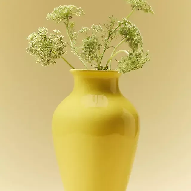 Ceramic Doann Vase