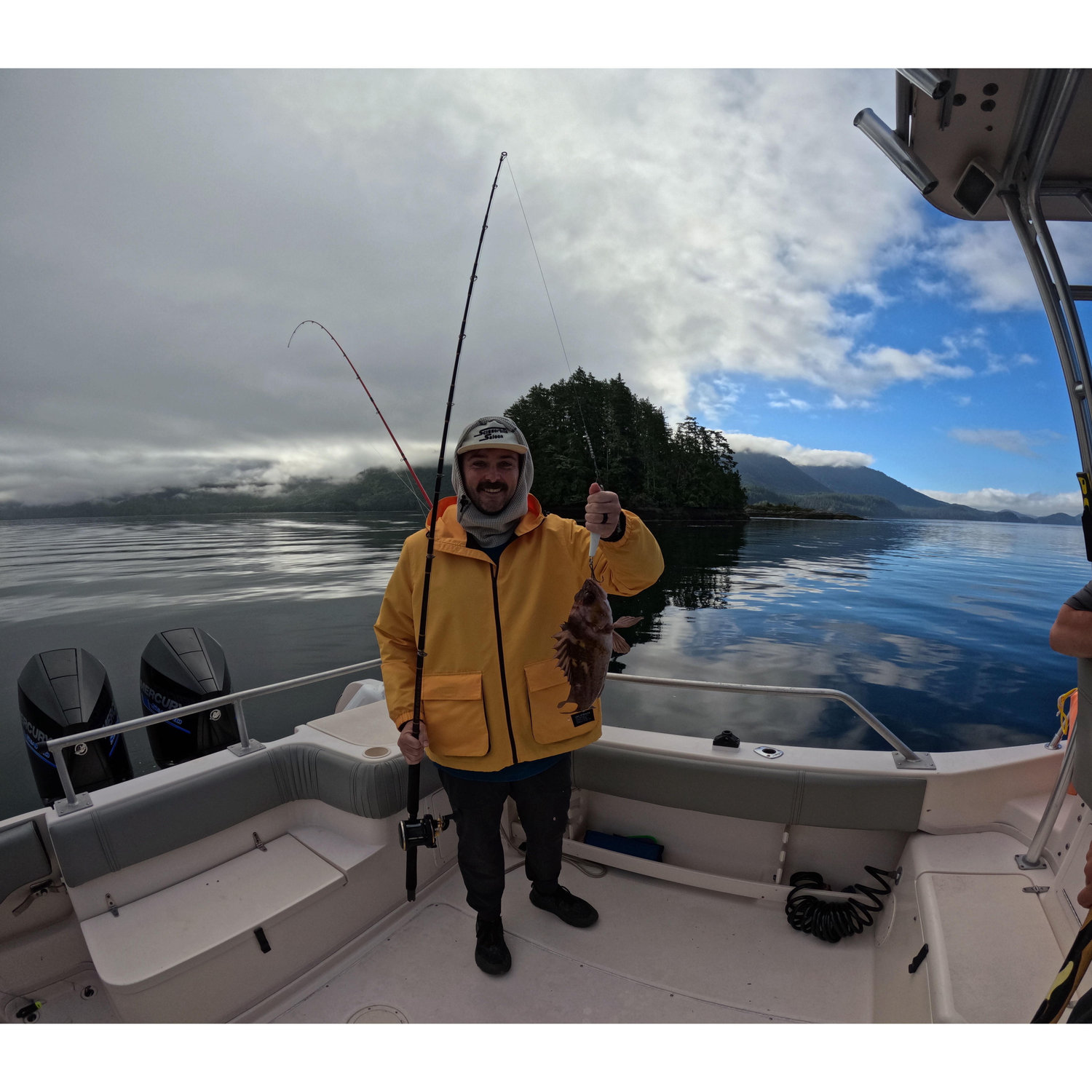 Lots of rockfish