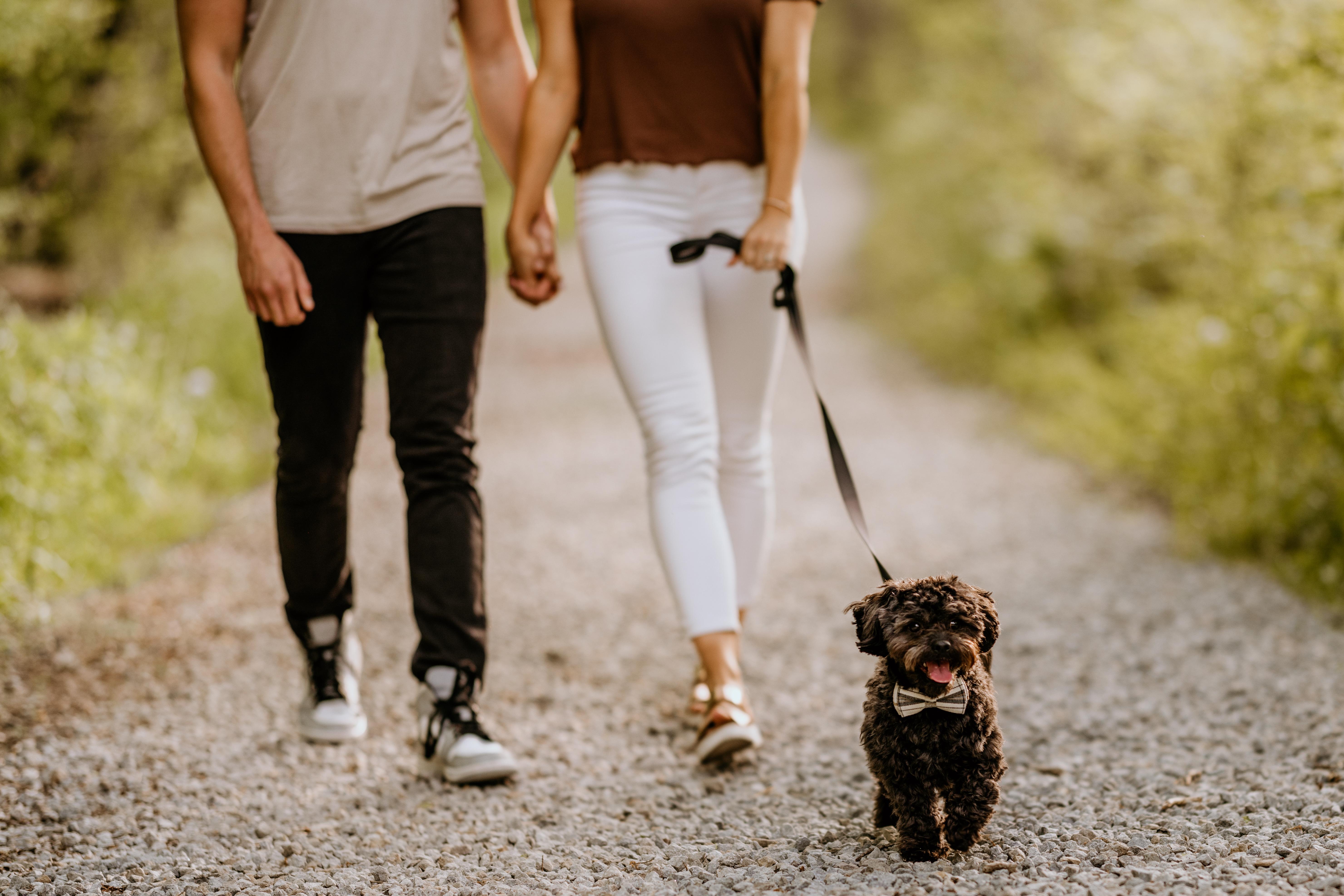 The Wedding Website of Amy Achberger and Brian Rademacher