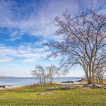 Chaffinch Island Park