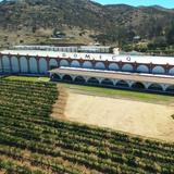 Domecq Winery