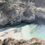 Point Lobos State Natural Reserve