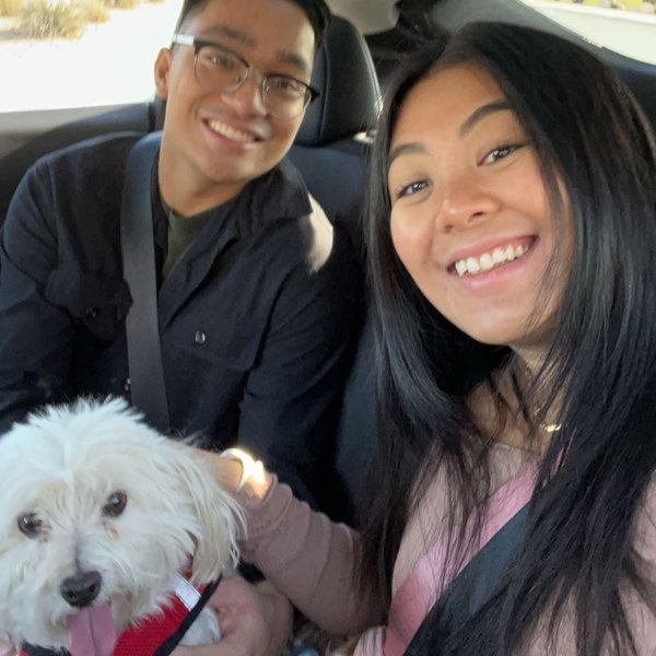 Pet Adoption Fund