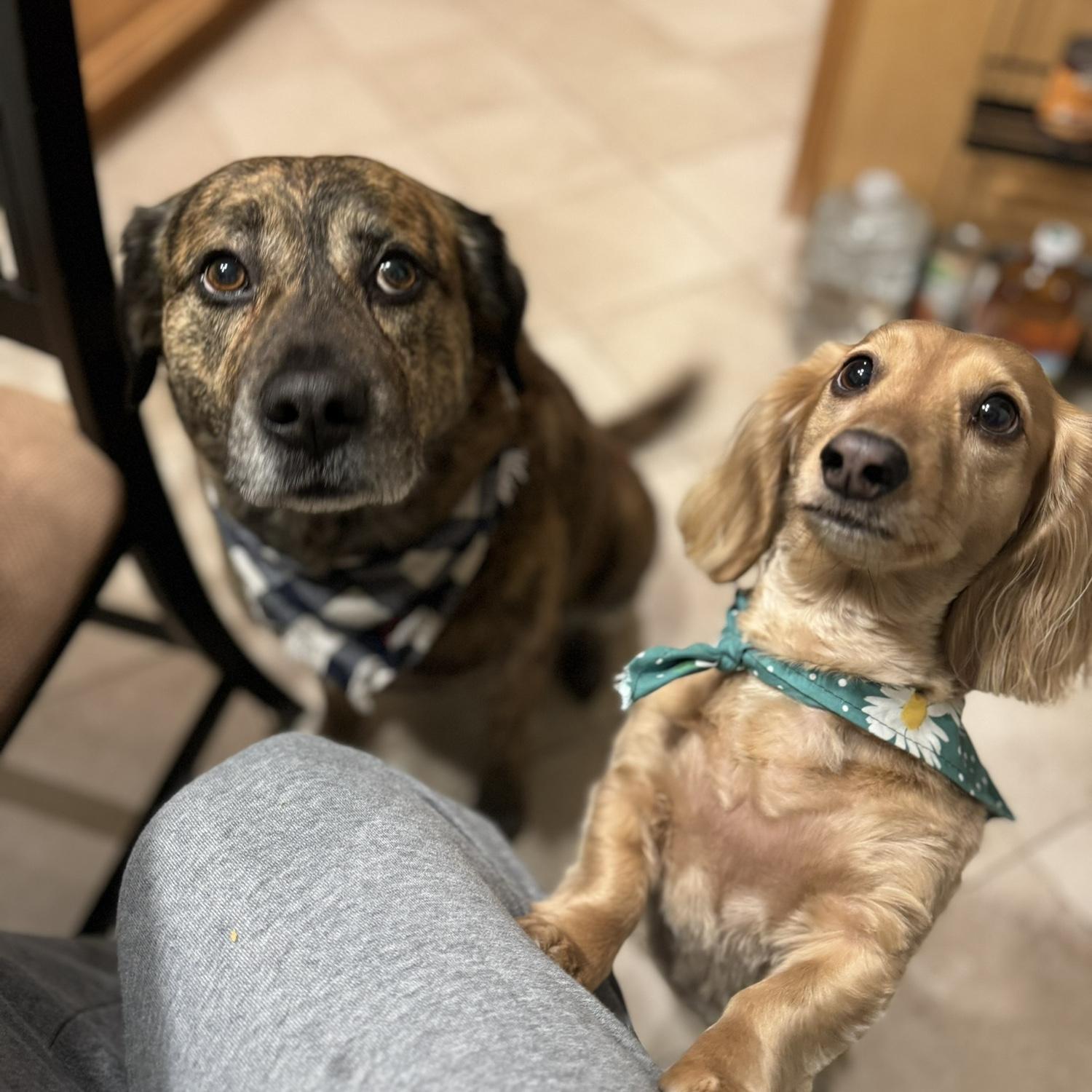 Fresh cuts for the trouble makers.