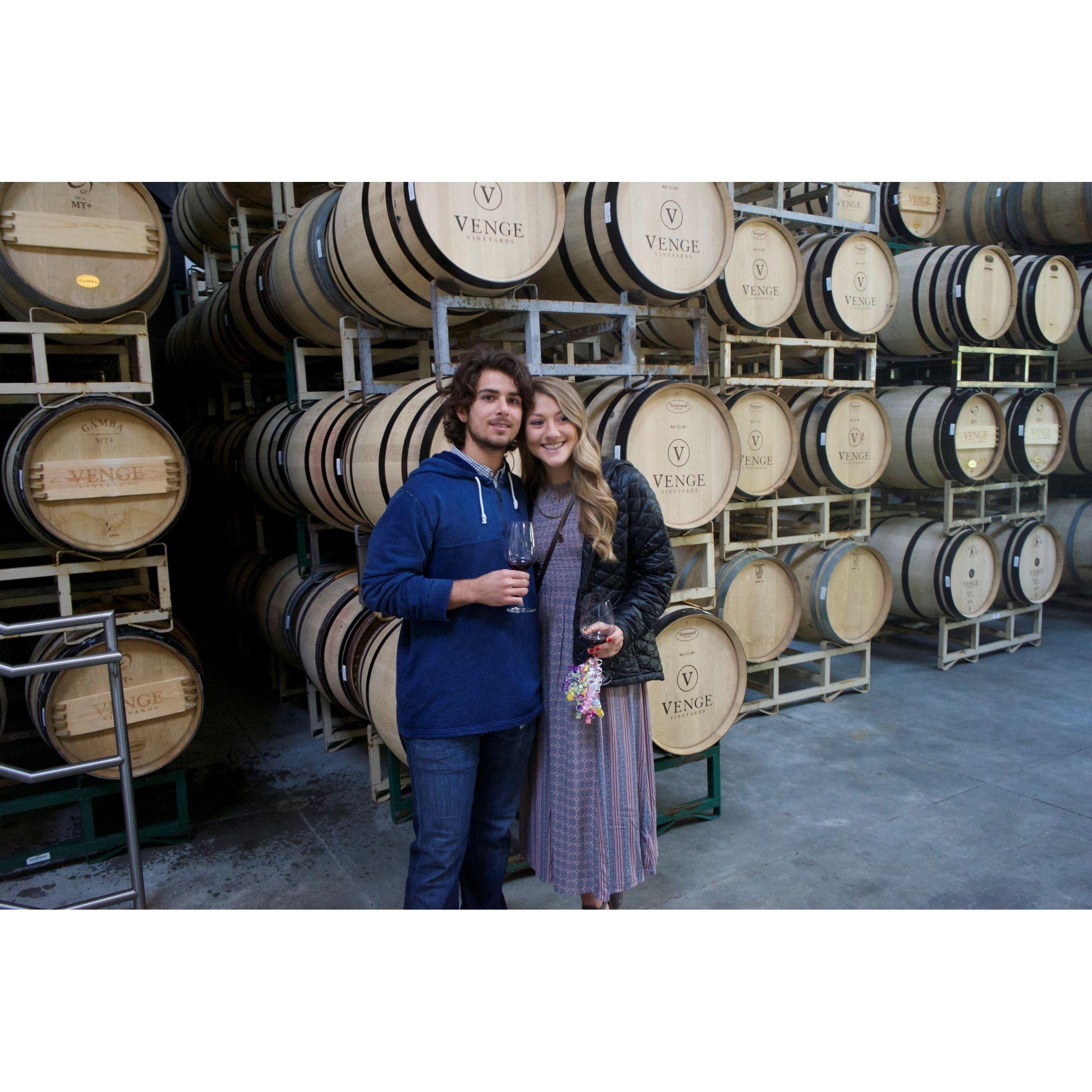 Venge Vineyards, Napa Valley - April 2016