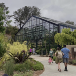 San Diego Botanic Garden