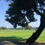 Gravelly Point