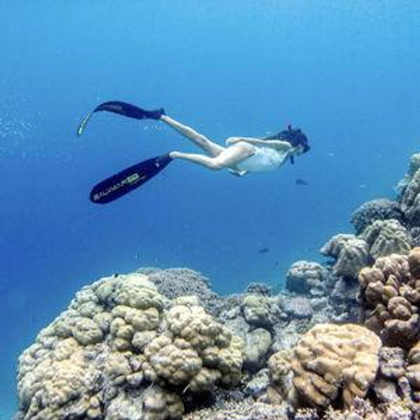 Snorkeling on Honeymoon