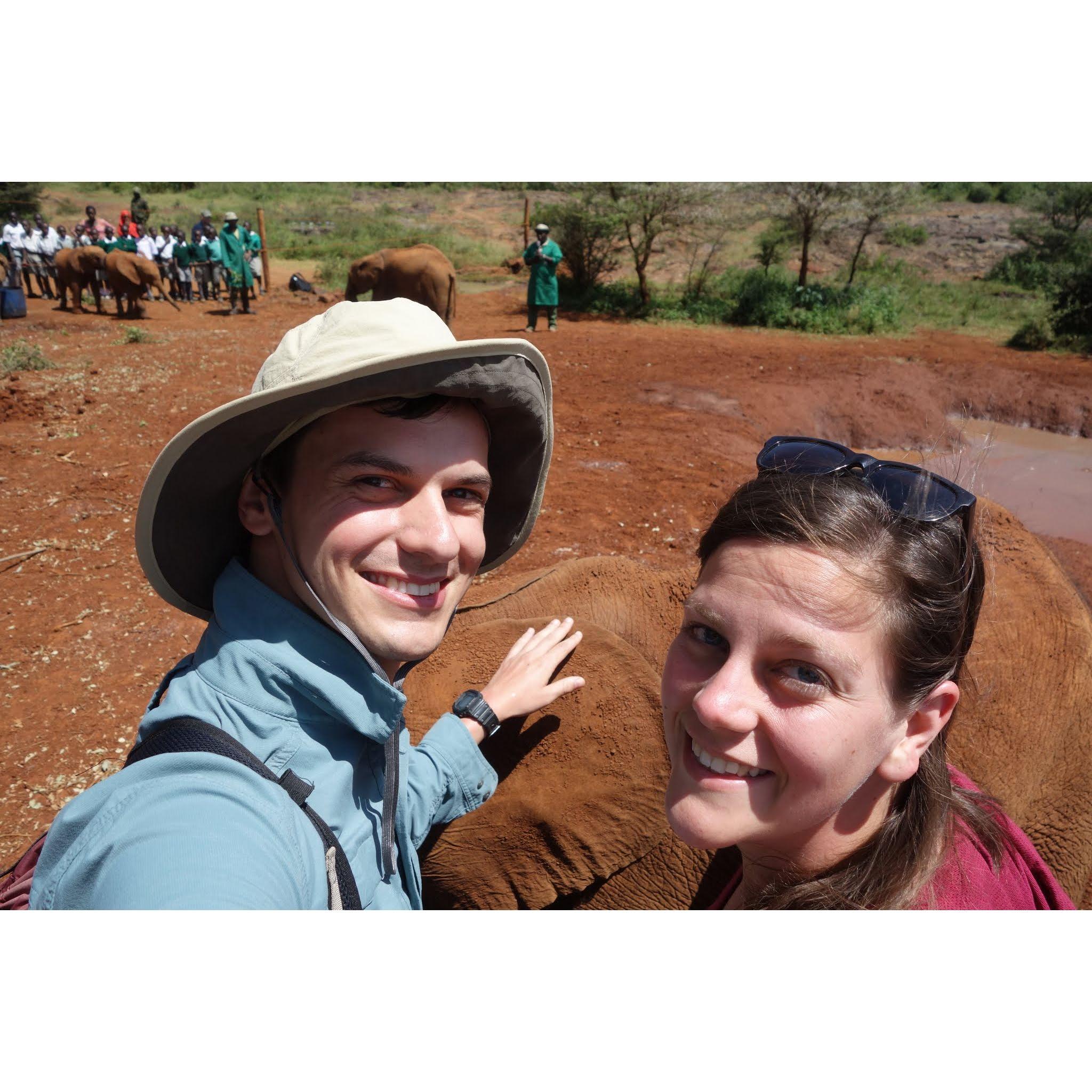 Kenya at the Sheldrick Wildlife Trust's Nairobi Elephant Orphanage