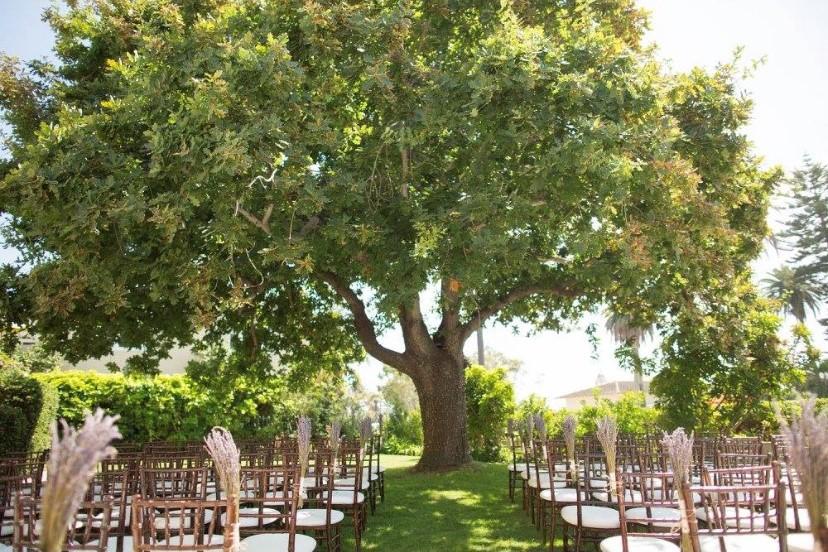 The Wedding Website of Megan Adams and Mitchell Varela