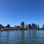Portland Saturday Market