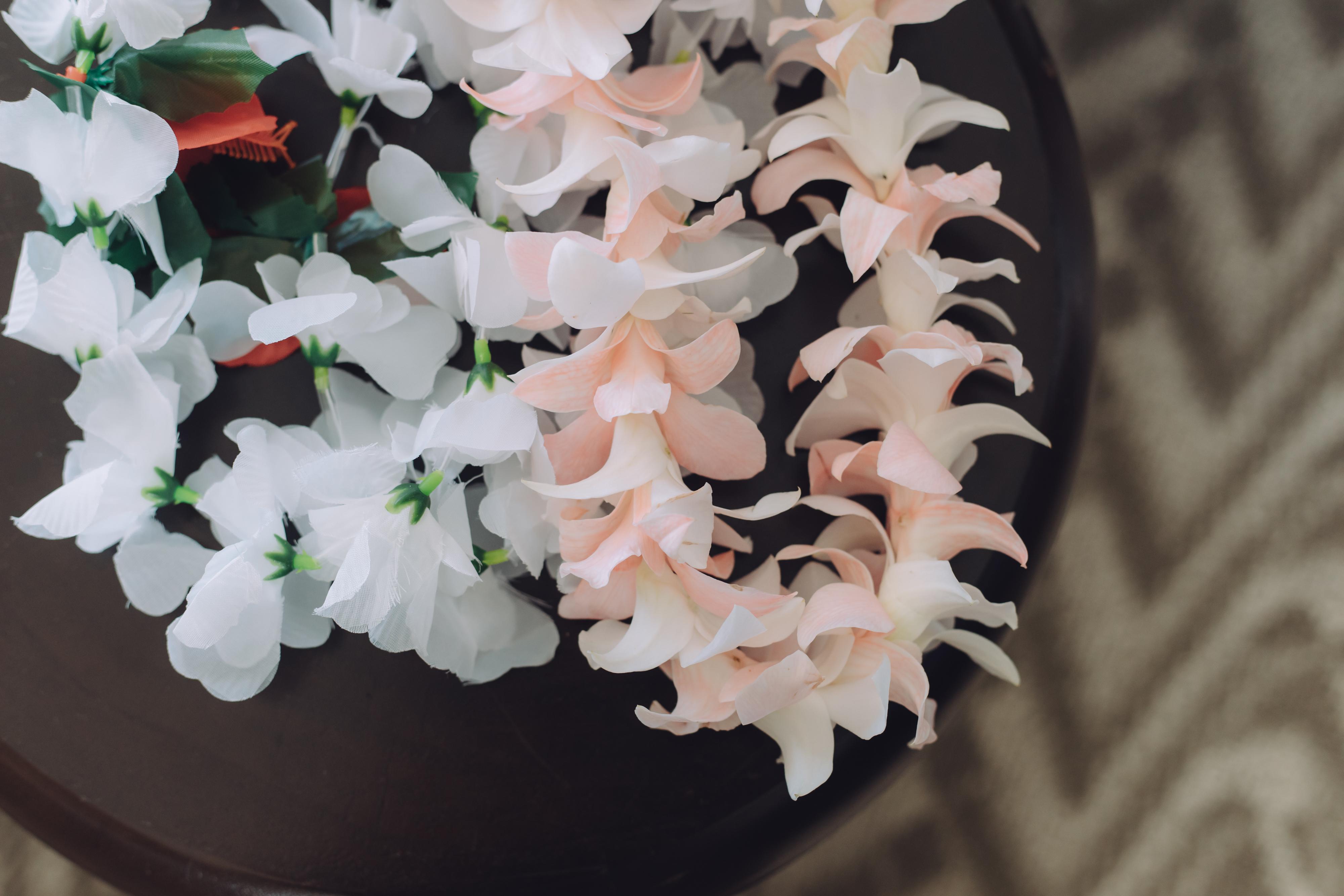 The Wedding Website of Ken Sakurai and Ayano Isobe