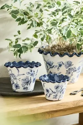 Ruffled Blue Lace Terracotta Planter