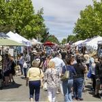 Morgan Hill Mushroom Art & Wine Festival