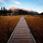 Policeman's Creek Boardwalk