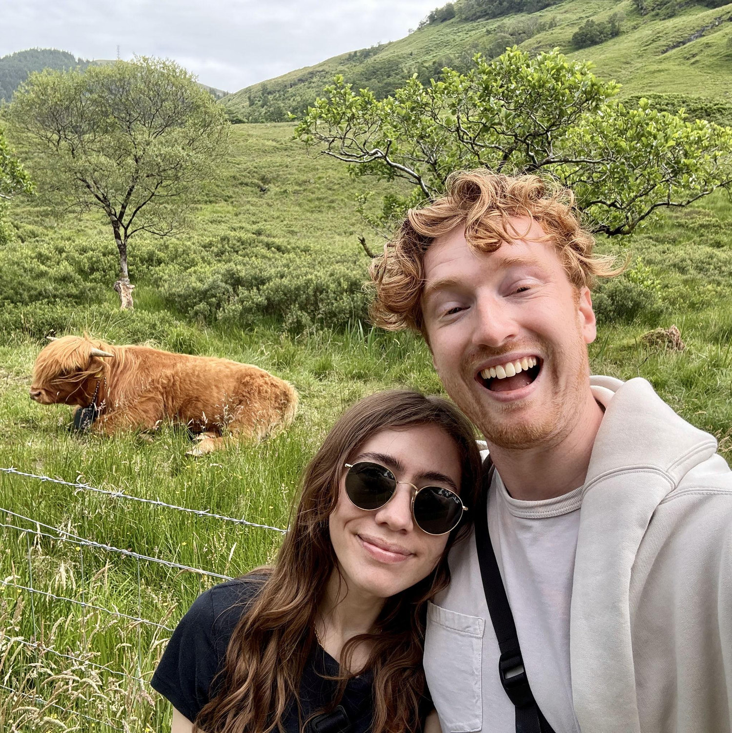 Lloyd + his wife + his twin. (Hairy coo in the Scottish Highlands, July 2025)