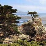 17 Mile Drive
