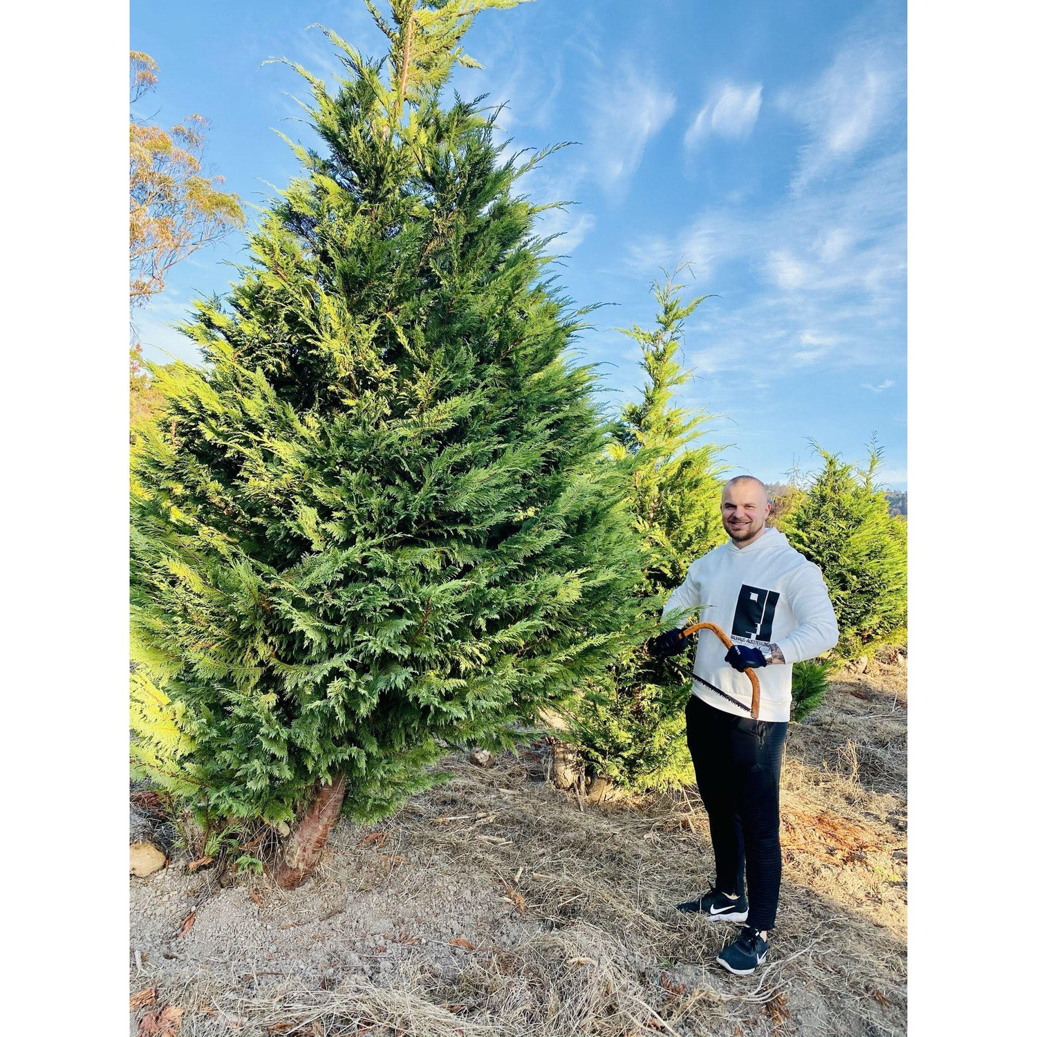 When we went to get our first Christmas tree!
