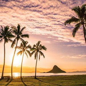 Honeymoon in Hawaii