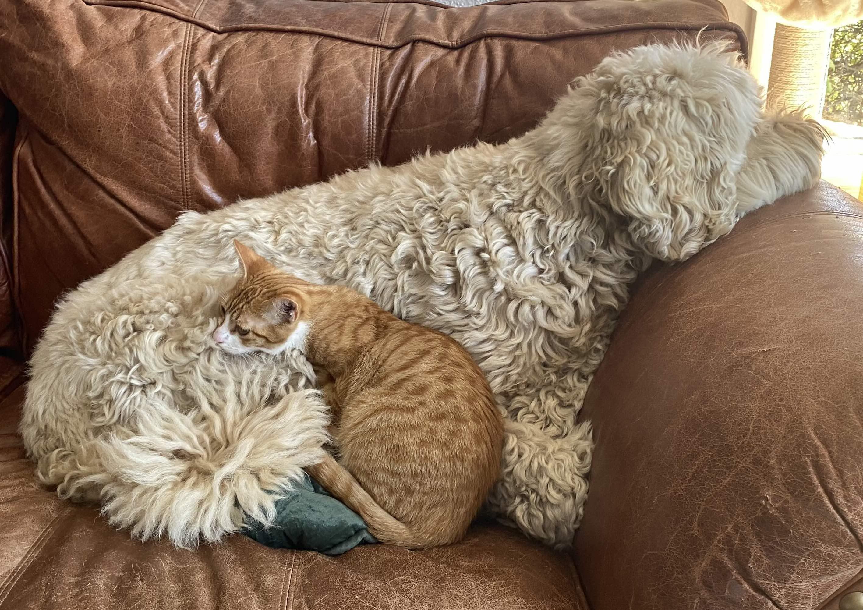 The Wedding Website of Williston Mortenson and Rachel Eisenstat