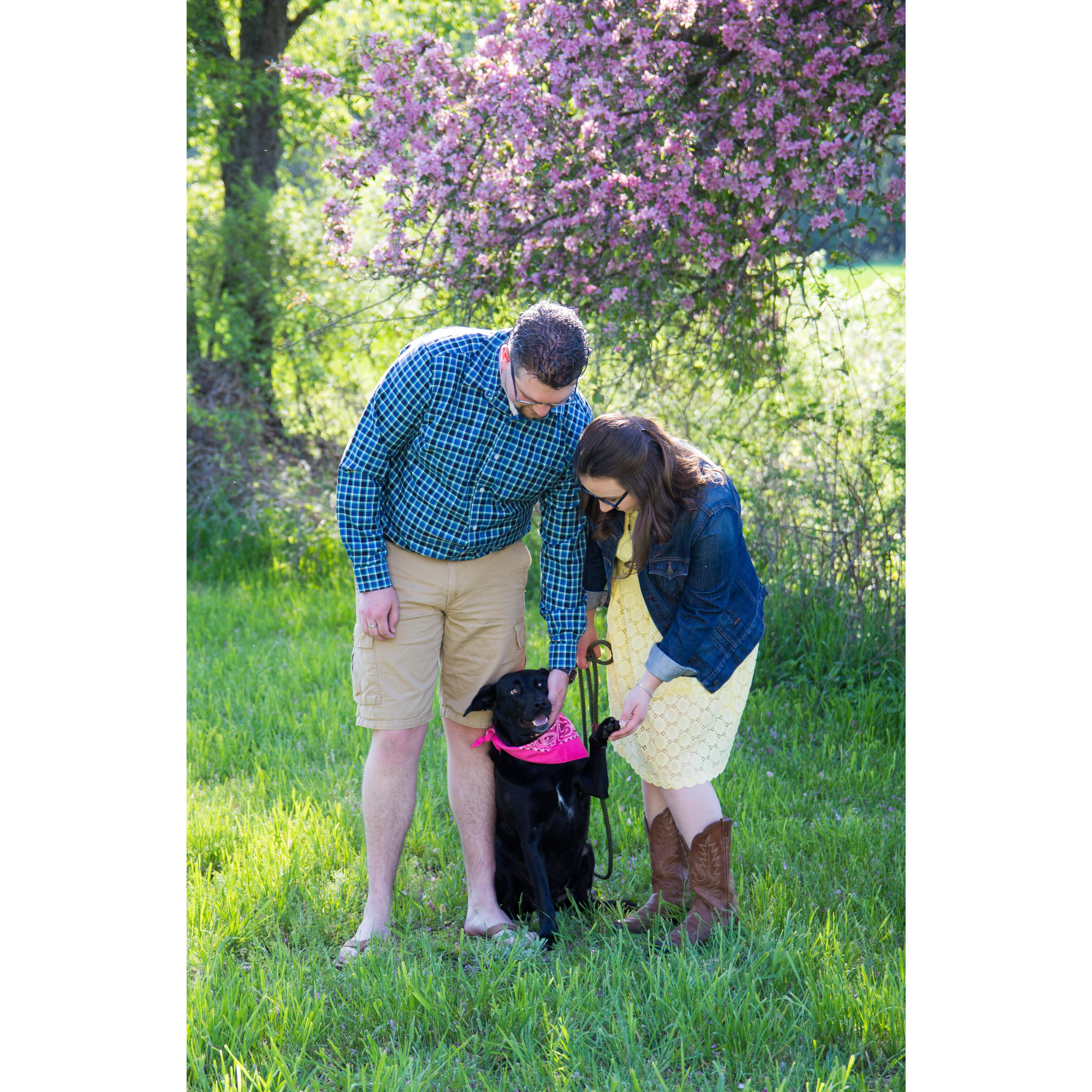 Miss Loki loves to show off her tricks