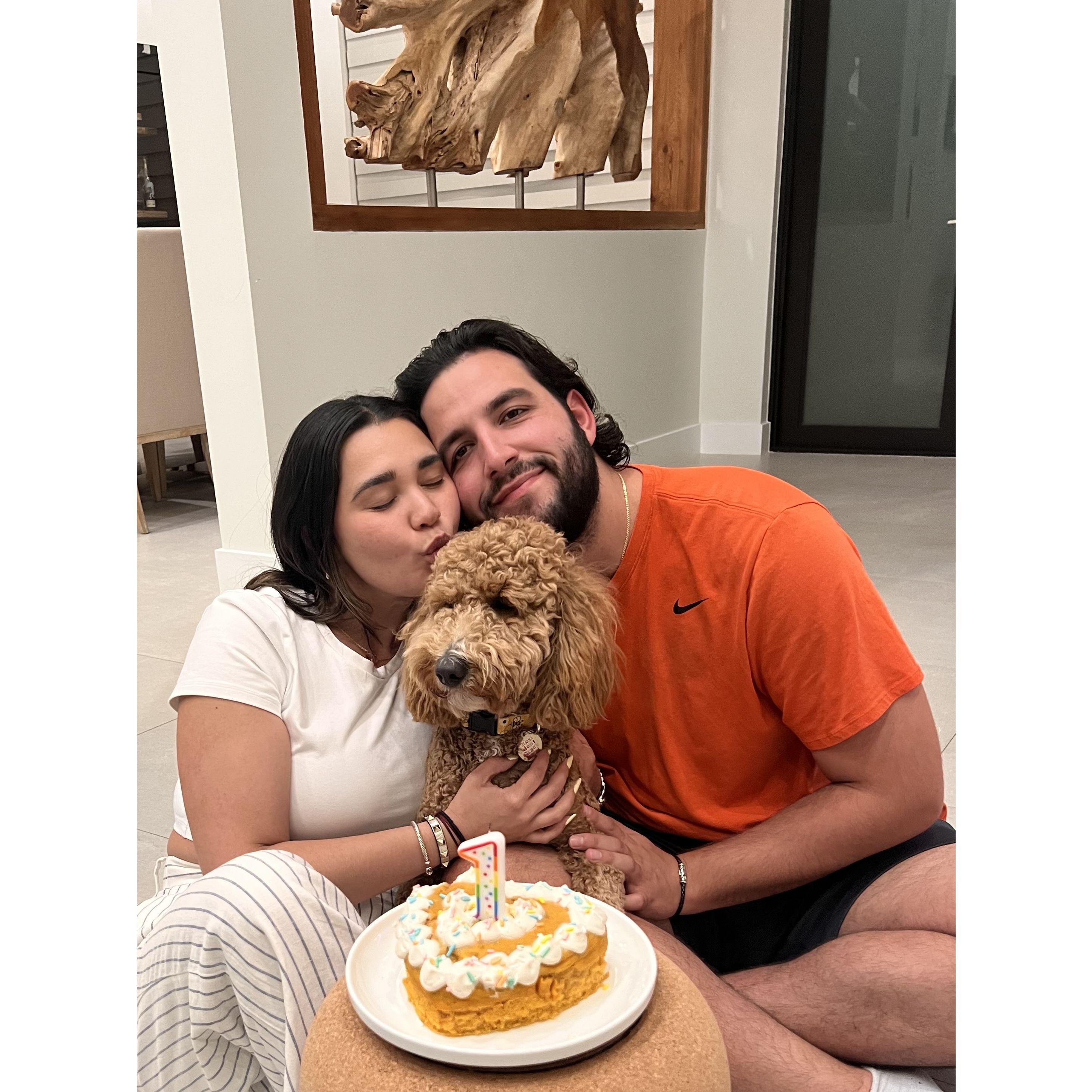 Celebrating Blackjack's 1st birthday! Yes we are crazy & yes this is a dog friendly cake :)