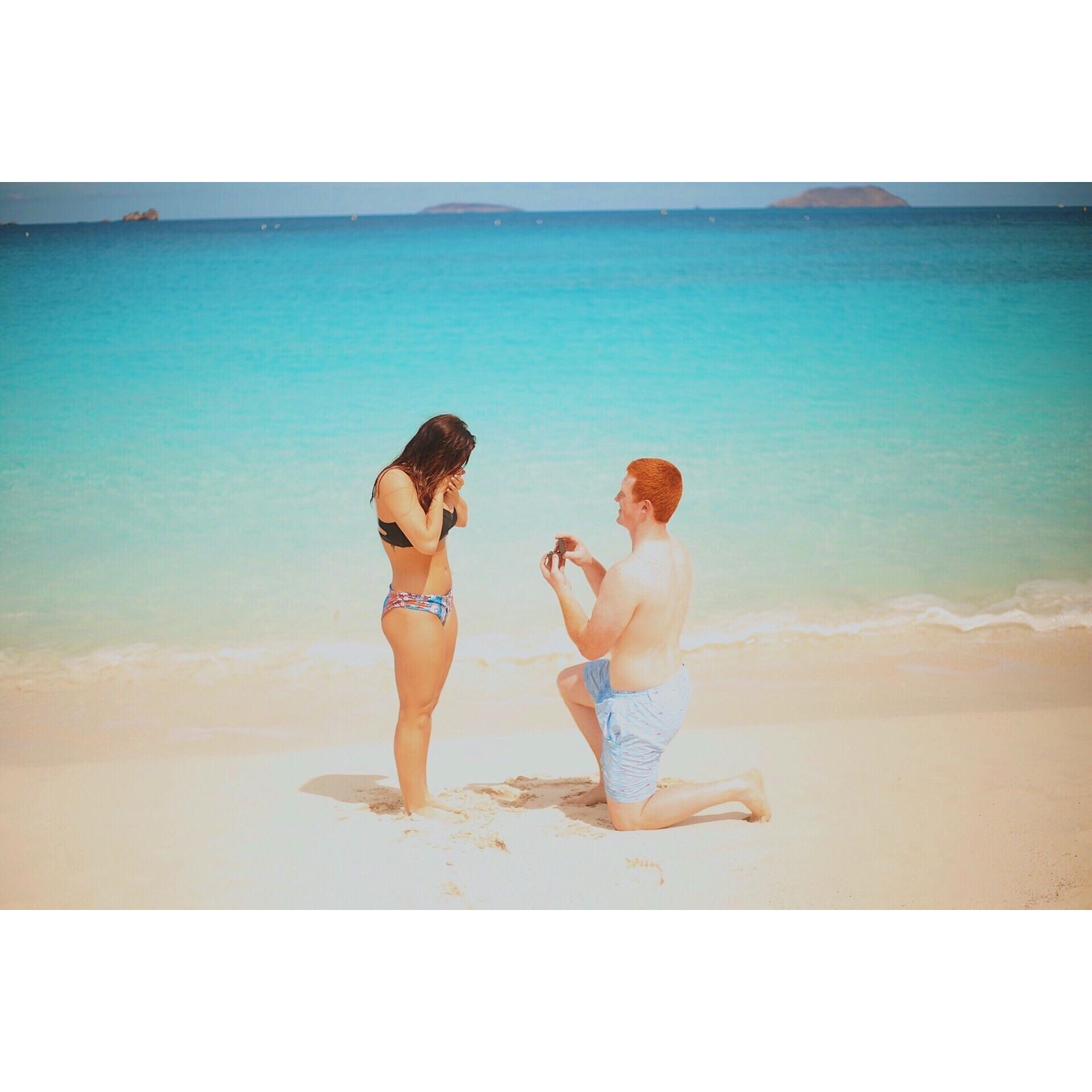 The proposal on Trunk Bay