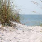 Plum Island Beach