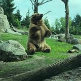Minnesota Zoo