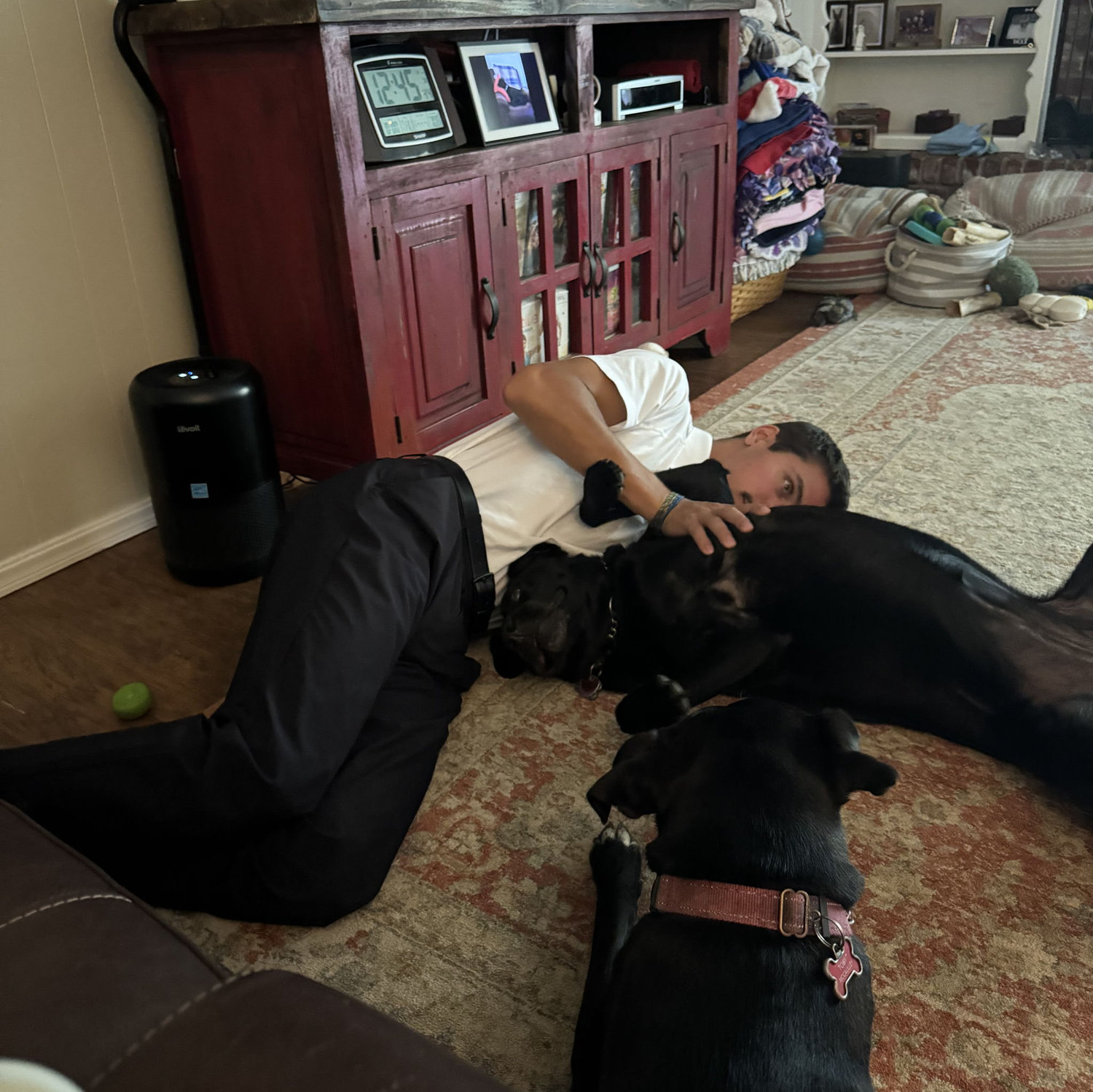 Ethan giving Millie and Toby belly rubs