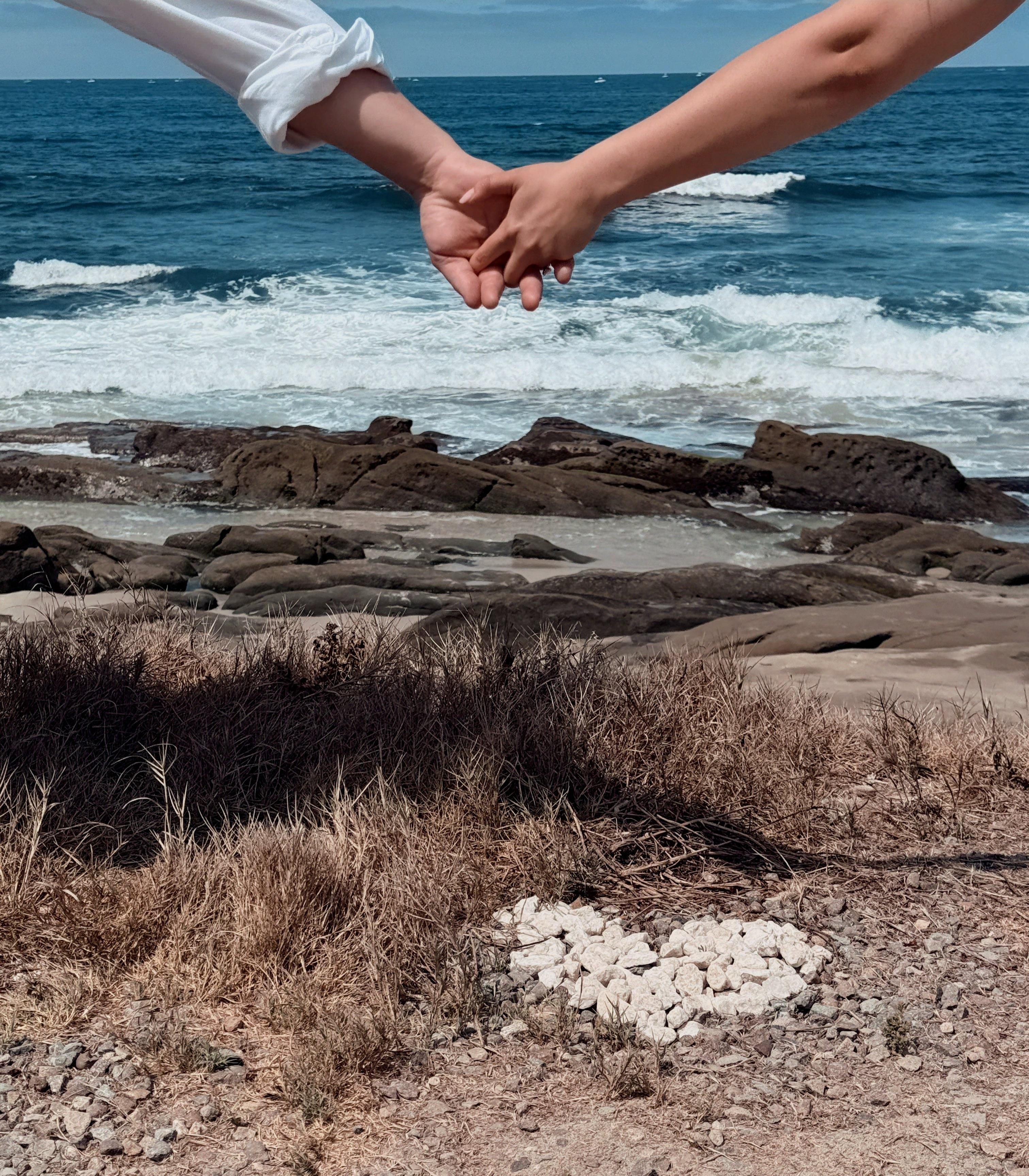 The Wedding Website of Shahrzad Farokian and Travis Flora