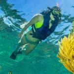 SNORKELING ADVENTURE