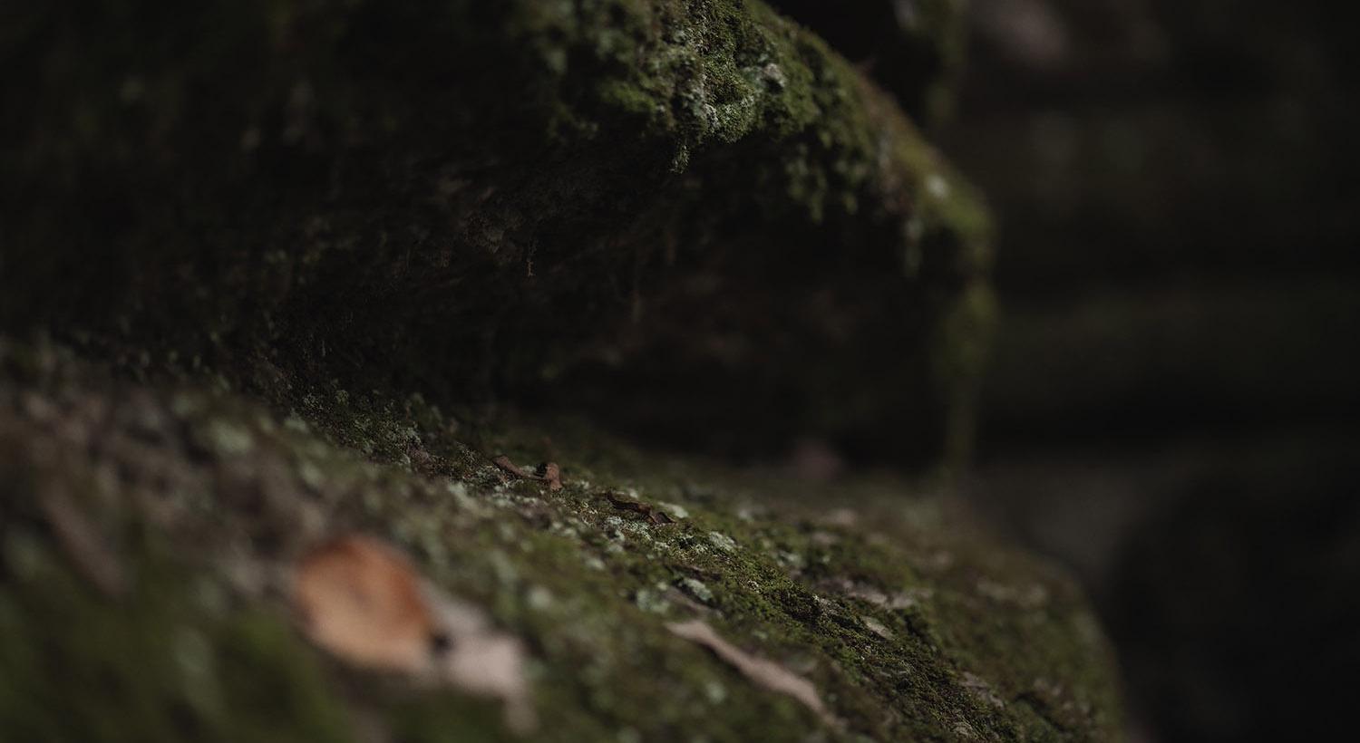 Footer image