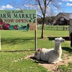 Up North Farm Market