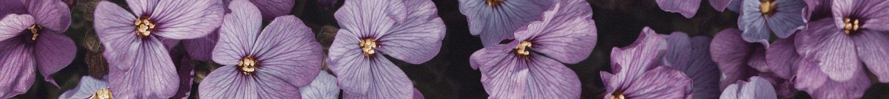 The Wedding Website of Lindsey Fortner and Trevor Denmon