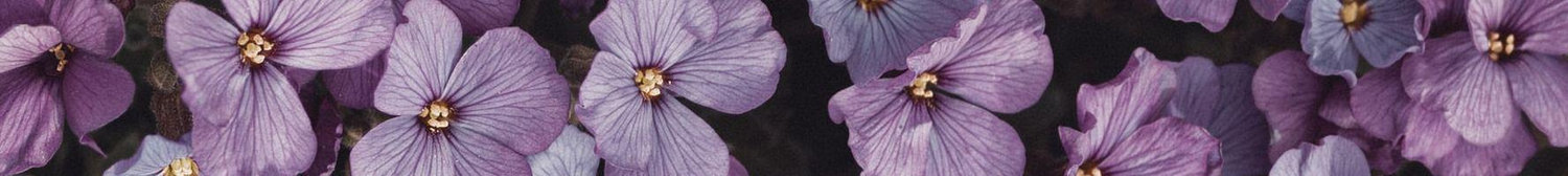 The Wedding Website of Lindsey Fortner and Trevor Denmon