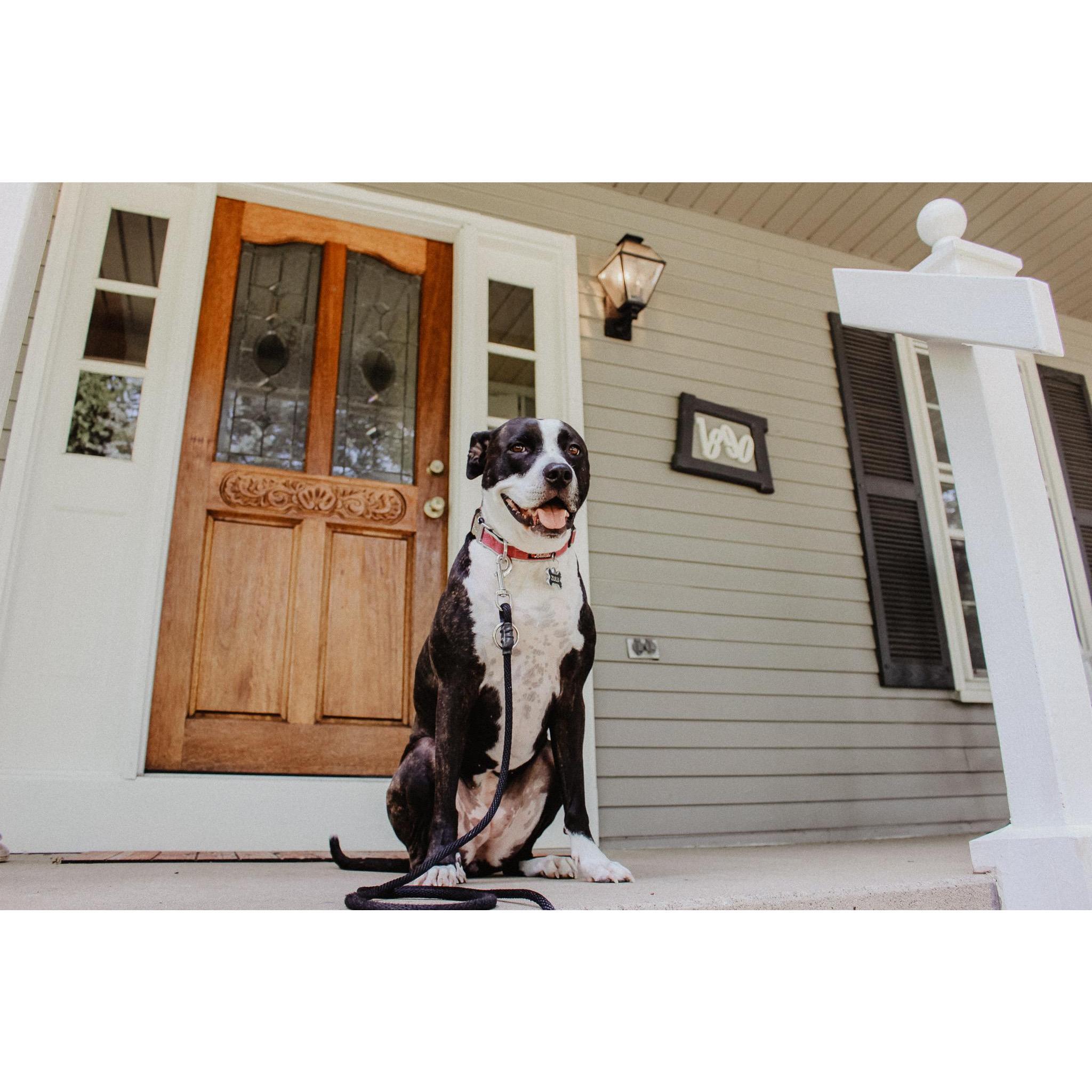 Zulu at her new house!