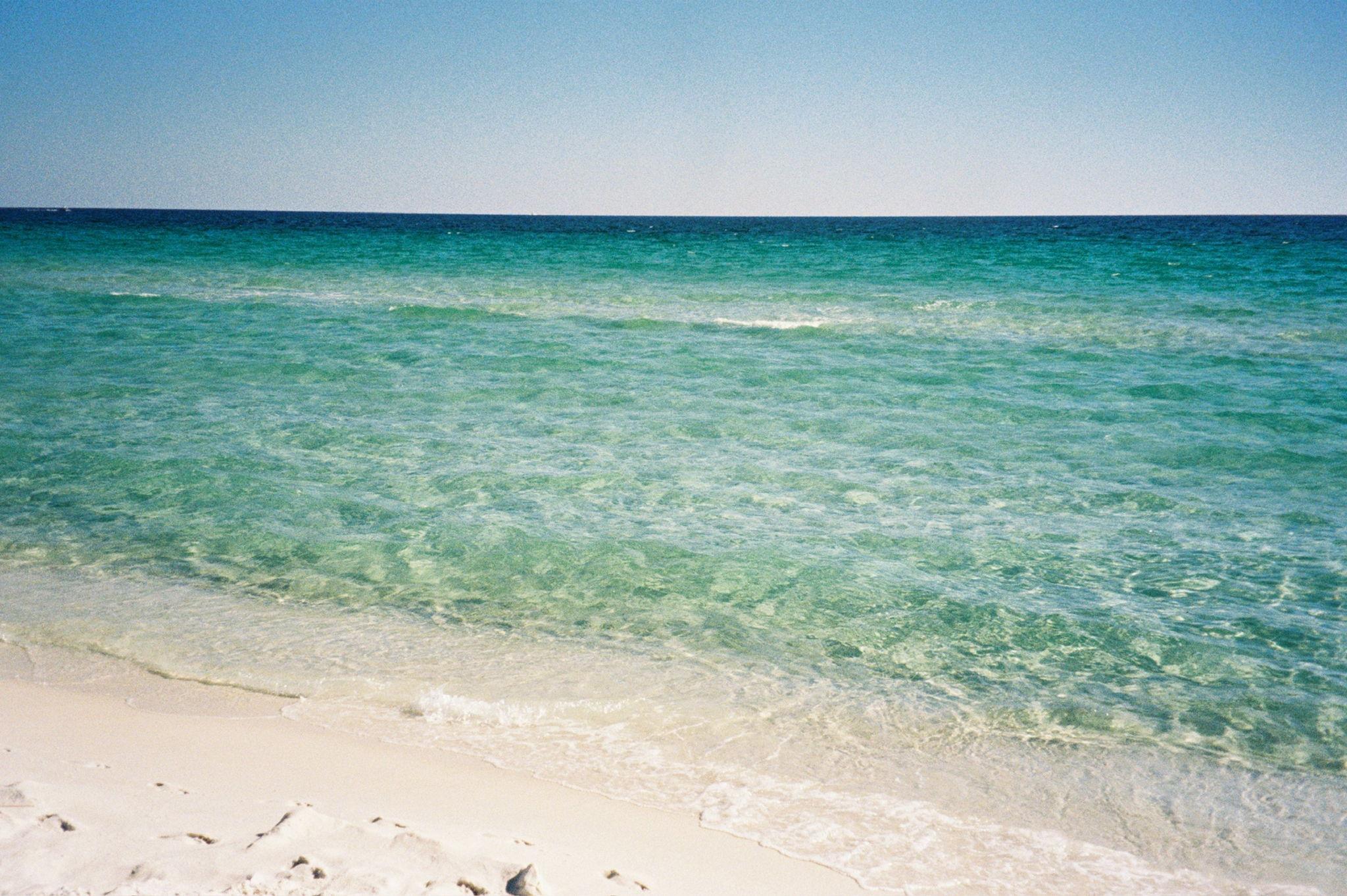 The Wedding Website of Maddie Reiners and Terrence O'Connor