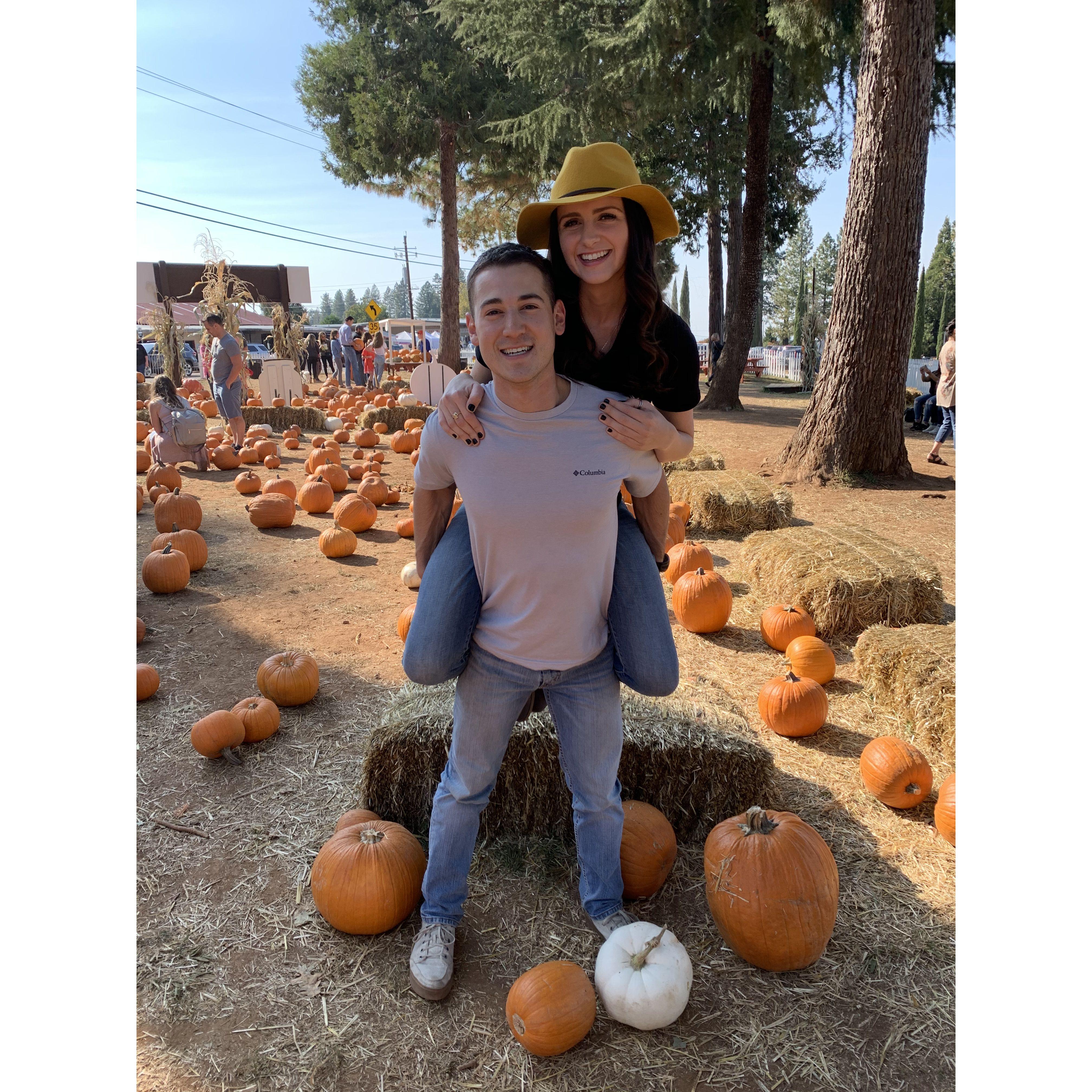 Apple Hill - October 2019