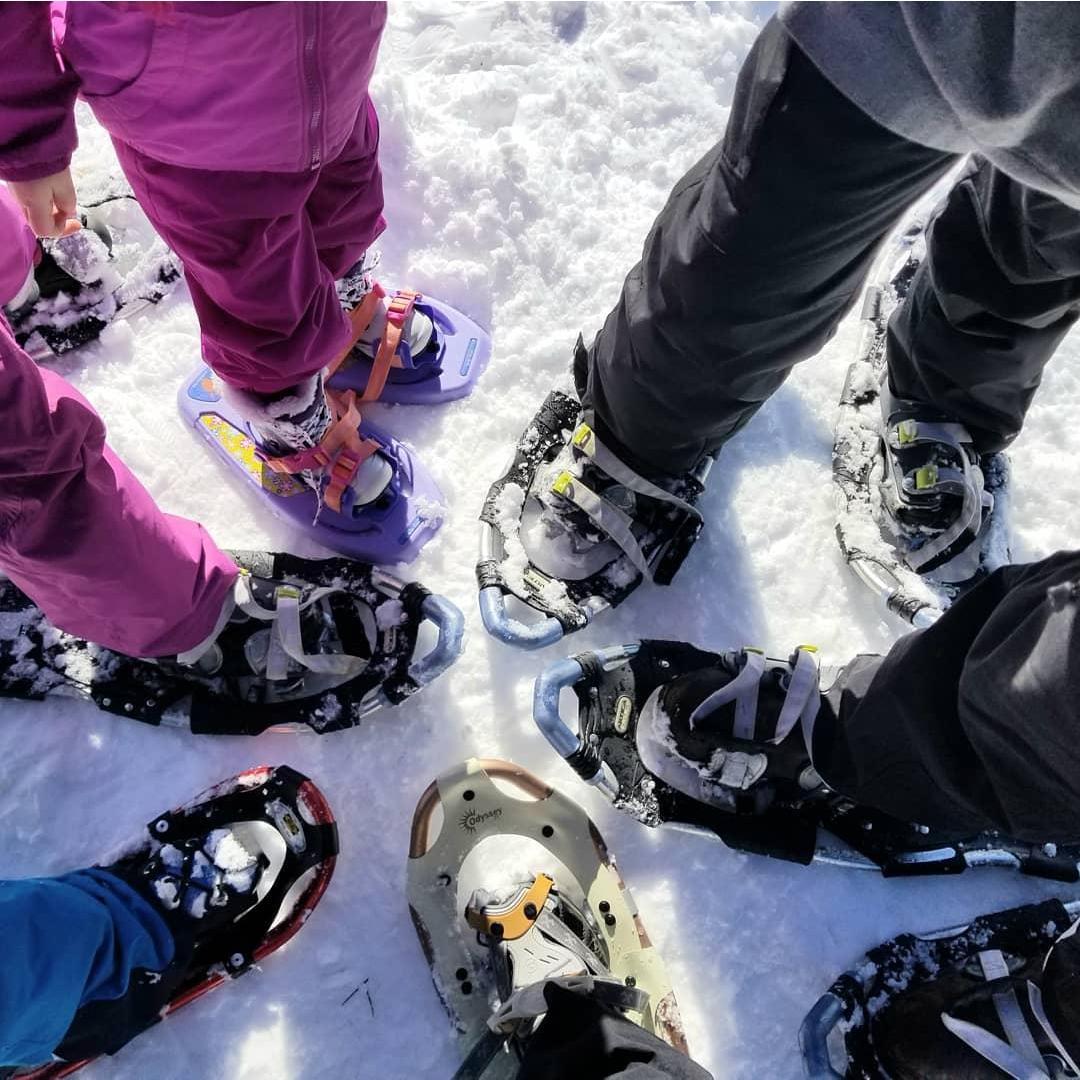 Snowshoeing to get our Christmas Tree - 2019