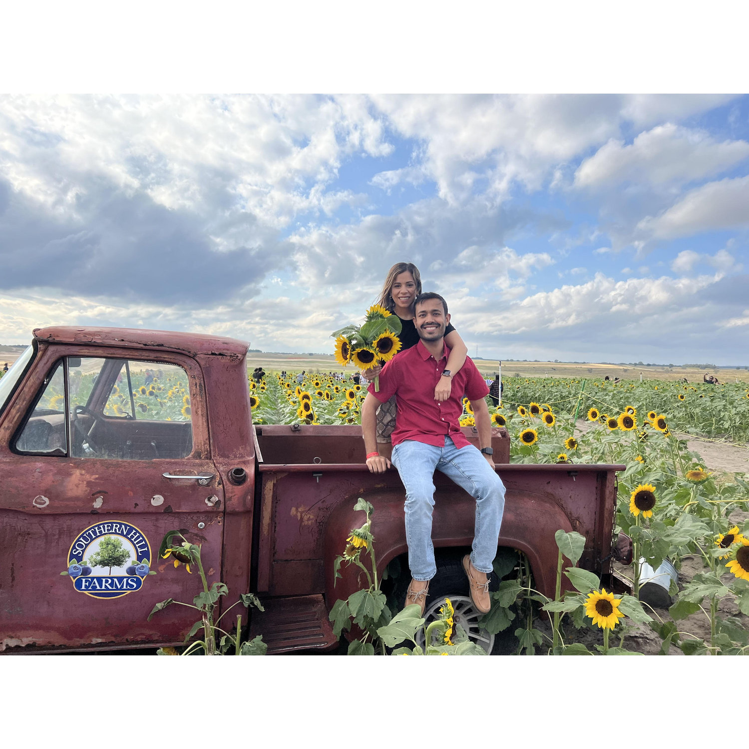 In sea of sunflowers, Aayush's favorite sunshine