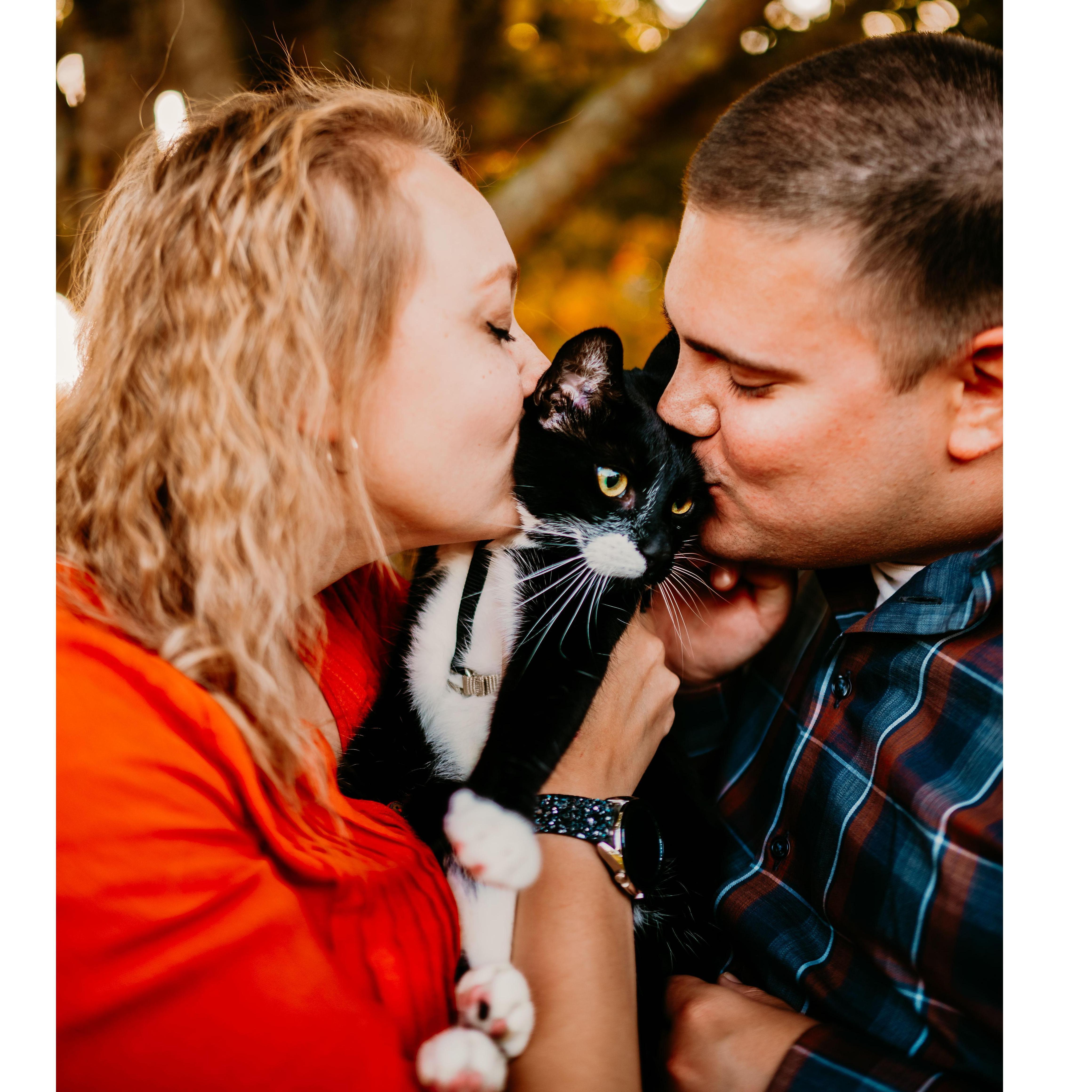 Mittens is just as excited as mom and dad are to tie the knot!
