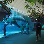 Clearwater Marine Aquarium