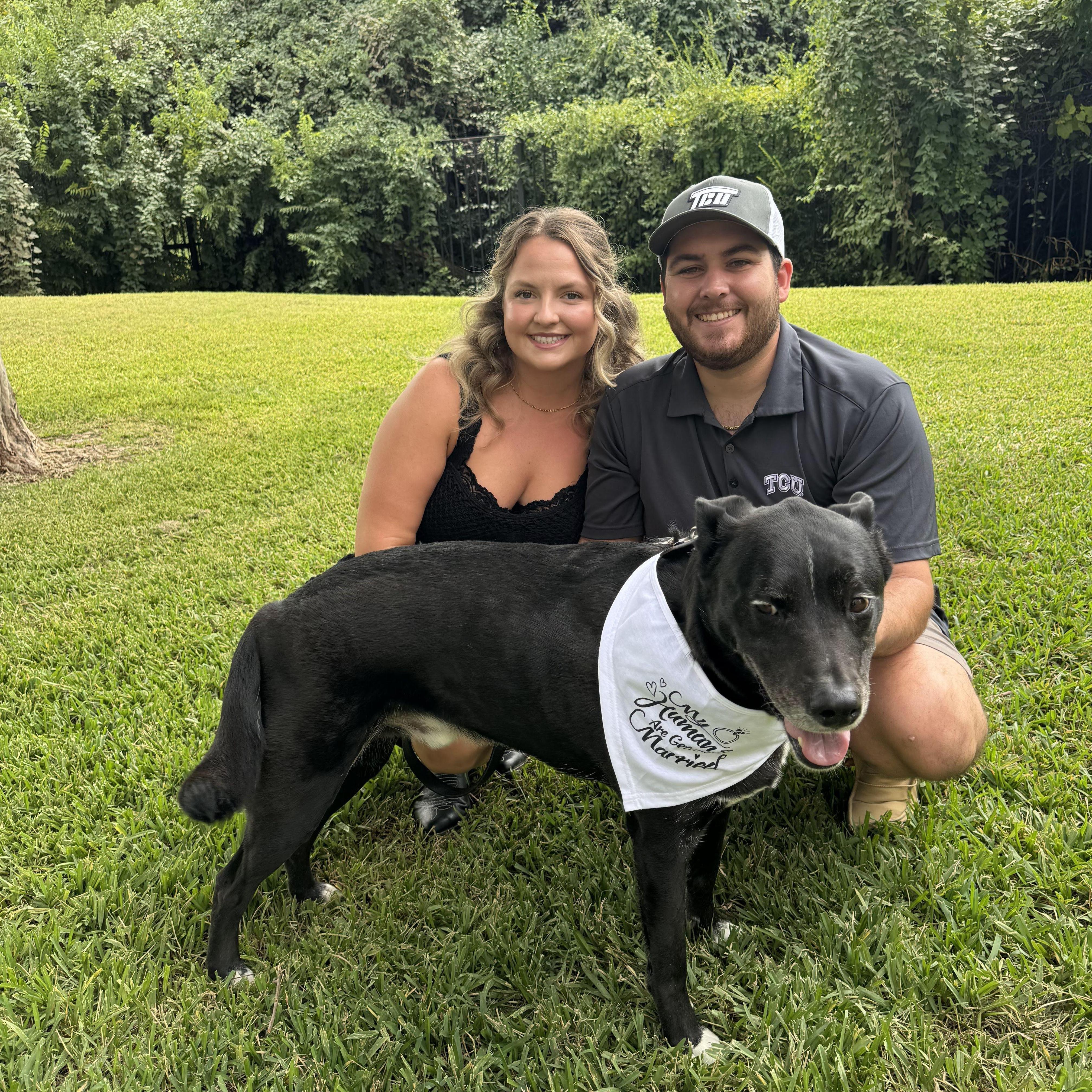 Pharaoh is so excited his humans are getting married!