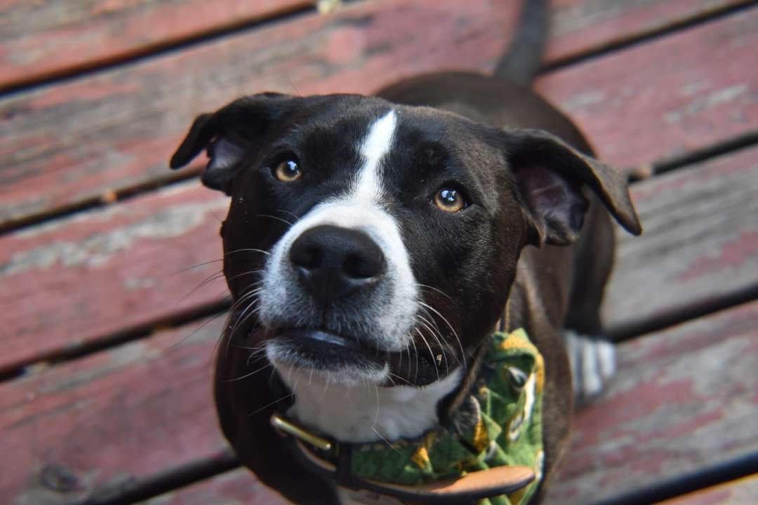 The Wedding Website of Kyrstin Cassidy and Cody Endries